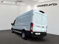 Ford Transit Transit Kasten 2,0 EcoBlue L3H2 350 Trend Weiß - thumbnail 5