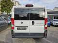 Fiat Ducato 30 2.3 MJT 130CV 9POSTI Bianco - thumbnail 5