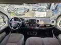 Fiat Ducato 30 2.3 MJT 130CV 9POSTI Bianco - thumbnail 11