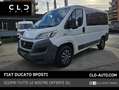 Fiat Ducato 30 2.3 MJT 130CV 9POSTI Bianco - thumbnail 1