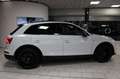 Audi Q5 40 TDI Quattro S line Competition|PANO| 360°| Weiß - thumbnail 6