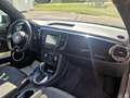 Volkswagen Beetle Beetle Coupe 2.0l TSI Autom. Kamera, Navi-App Сірий - thumbnail 10