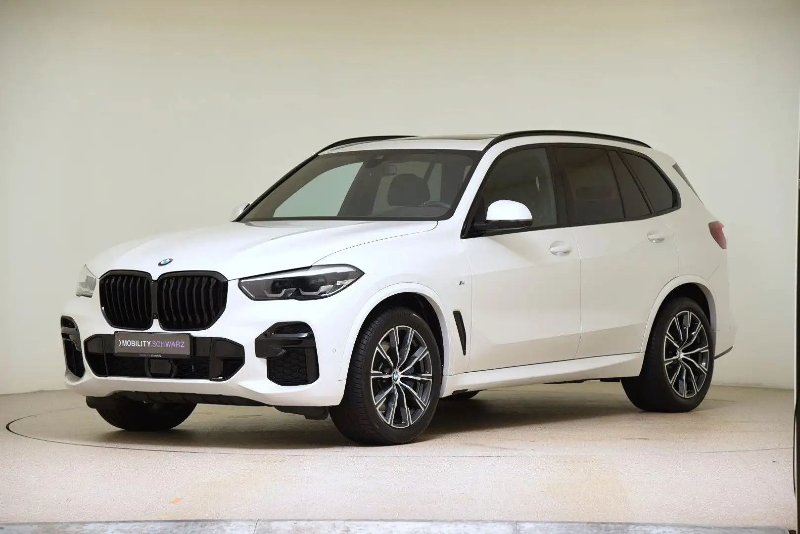 BMW X5 xDrive30d M Sport DrivAss Pano AHK Stahzg LED Blanco - 1