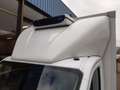 Ford Transit 2.0 TDCI 170Pk Koelwagen Laadklep EURO-6 Kühlwagen Wit - thumbnail 24