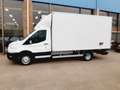 Ford Transit 2.0 TDCI 170Pk Koelwagen Laadklep EURO-6 Kühlwagen Blanc - thumbnail 5