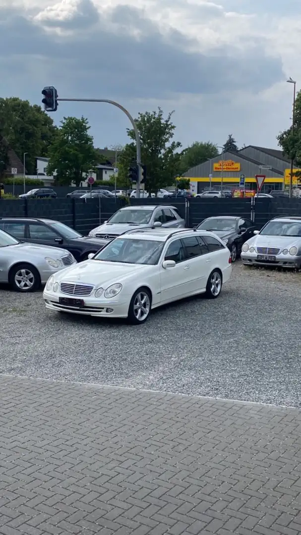 Mercedes-Benz E 500 T Avantgarde BiXenon Memory HarmanKardonSD Weiß - 1