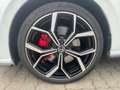 Volkswagen Polo 2.0 TSI DSG GTI Panoramadach Sitzheizung LE Weiß - thumbnail 3