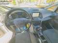 Ford C-Max C-Max 1.6 120CV GPL 12MESI DI GARANZIA Blanc - thumbnail 8