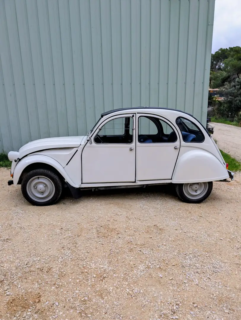 Citroen 2CV Blanc - 2