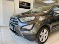 Ford EcoSport Trend 1,0 74kW/Nur 28.000km/1.Hand Gris - thumbnail 5