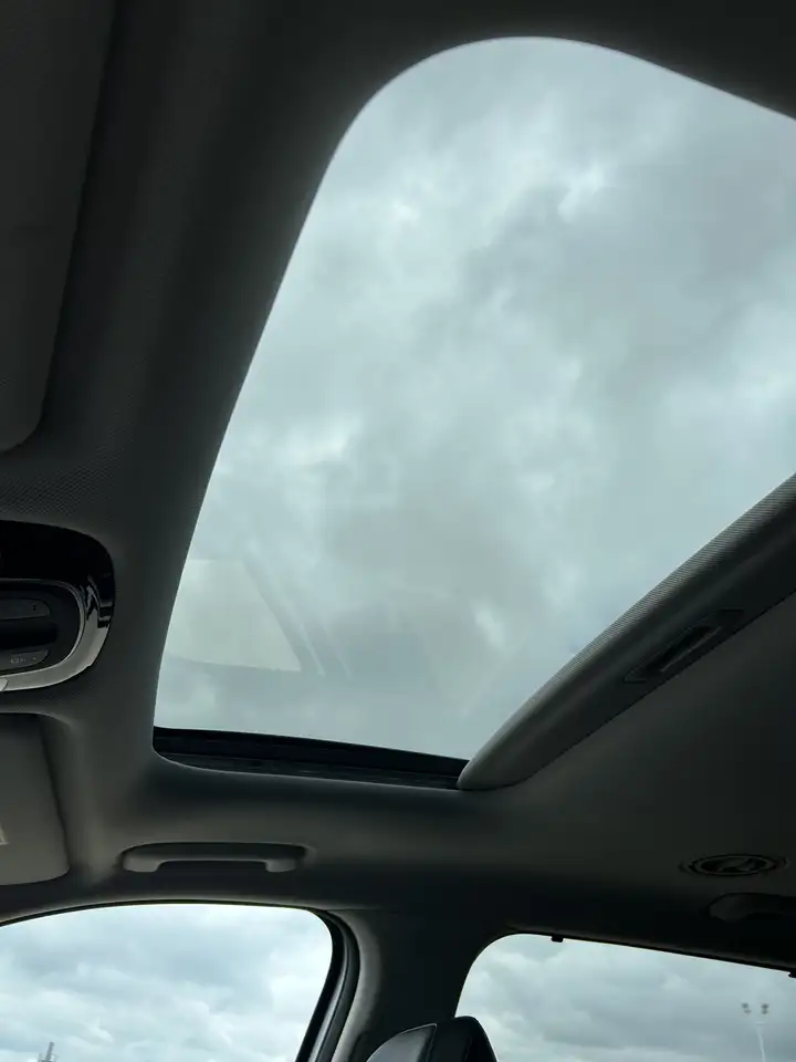 Hyundai PALISADE снимка Hyundai PALISADE