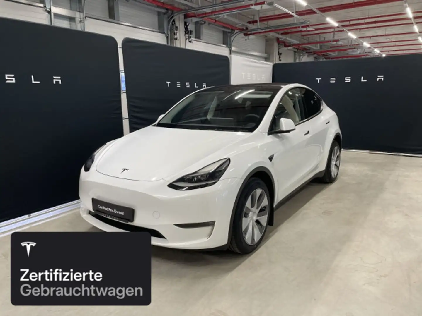Tesla Model Y Long Range AWD Weiß - 1
