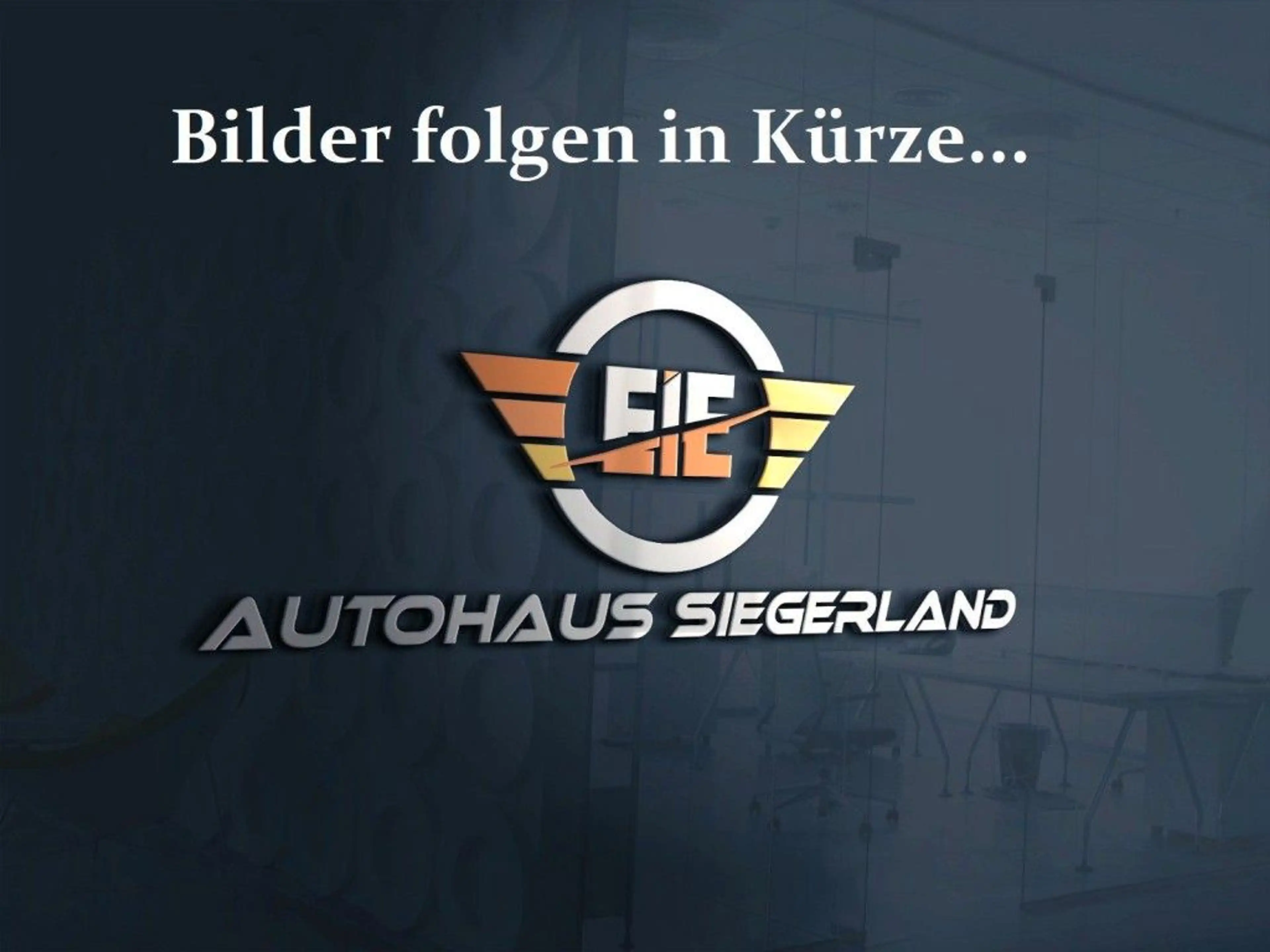 Citroen C3 Aircross Shine/AHK/Kamera/Pano/8Fach bereift