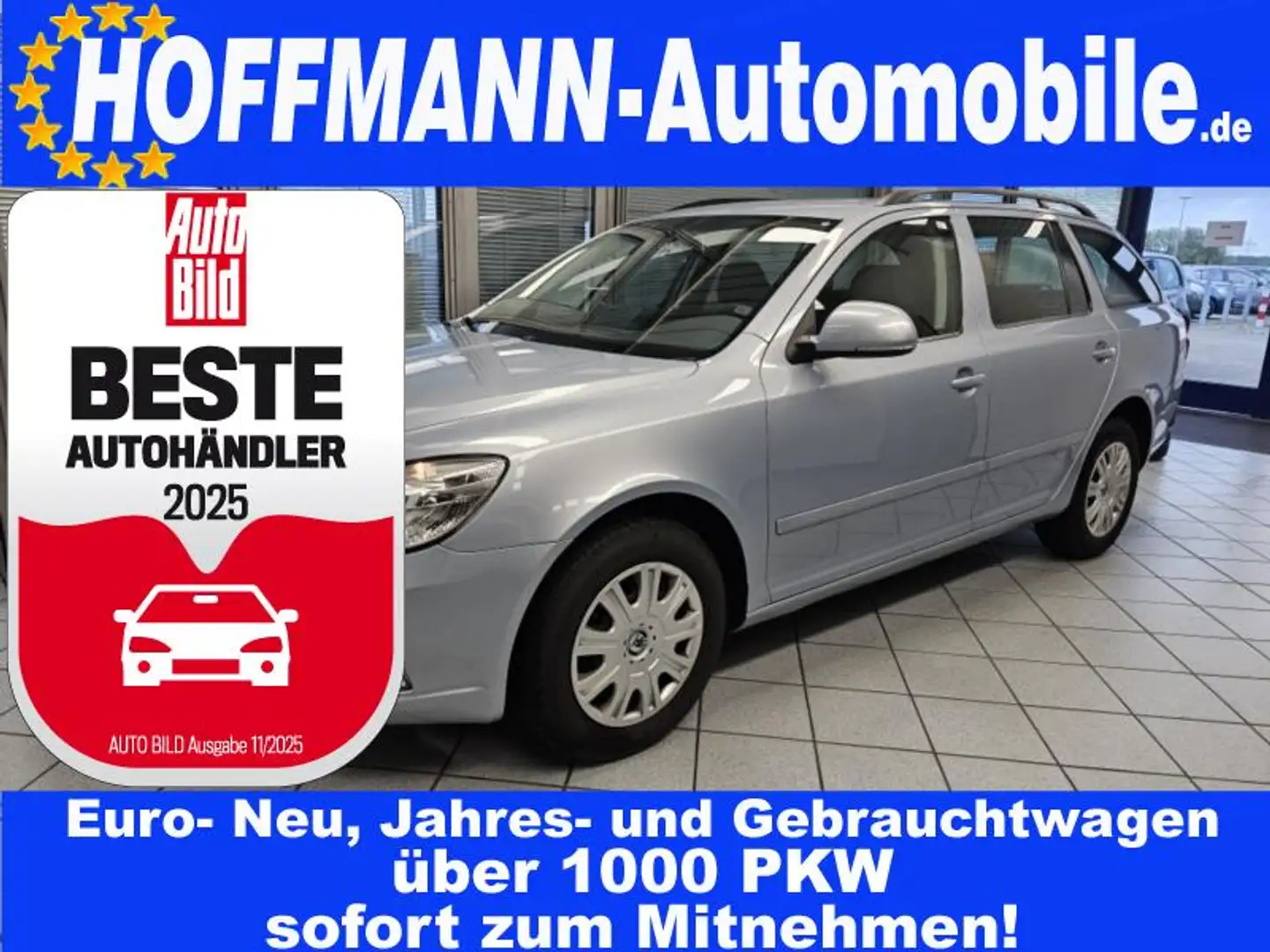 Skoda Octavia Ambition PDC,Reling,Klima,AUX,BT Blu/Azzurro - 1