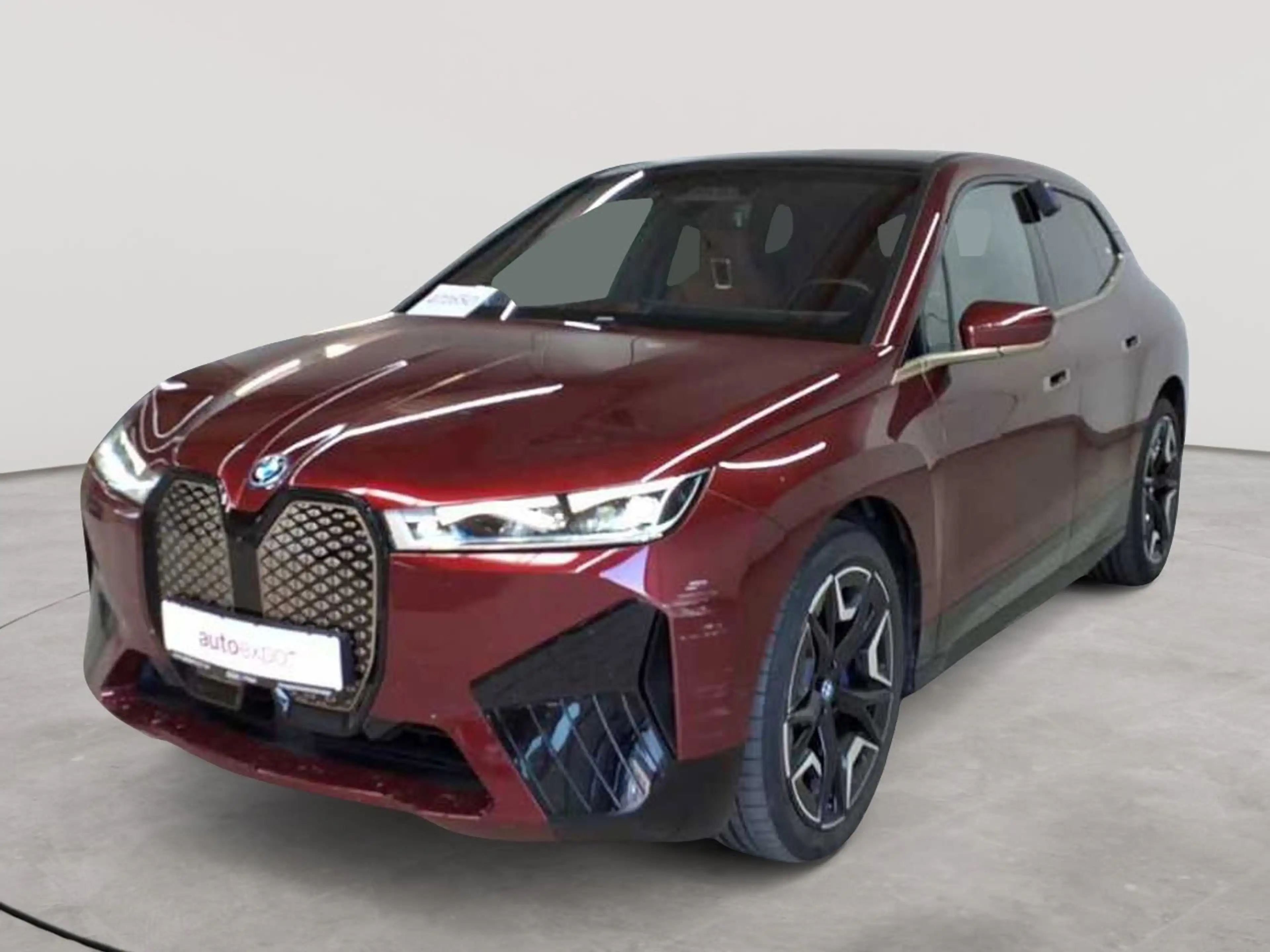 BMW iX iX xDrive50 LASER PANO B&W KAM LEDER — photo 2
