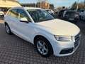 Audi Q5 2.0 TDI 150 CV Sport Bianco - thumbnail 3