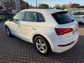 Audi Q5 2.0 TDI 150 CV Sport Bianco - thumbnail 5