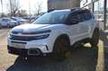 Citroen C5 Aircross Hybrid 225 e-EAT8 SHINE Weiß - thumbnail 15