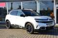 Citroen C5 Aircross Hybrid 225 e-EAT8 SHINE Weiß - thumbnail 1