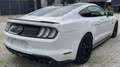 Ford Mustang MustangGT *orig.26 tKM* ERSTBESITZ!! Premium Paket Weiß - thumbnail 42