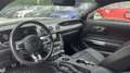 Ford Mustang MustangGT *orig.26 tKM* ERSTBESITZ!! Premium Paket Weiß - thumbnail 11