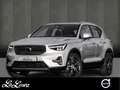 Volvo XC40 B3 (B) Core 50.210,-//BLIS/360°K/PIXEL Grau - thumbnail 1