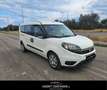Fiat Doblo Doblò 1.6 MJT 120CV S&S Easy Maxi AUTOVETTURA Weiß - thumbnail 4