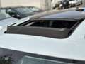 Volkswagen Tiguan Allspace 2.0 TDI Comfortline 5p. BJ: 2018 ACC Camera Cruise Gris - thumbnail 19