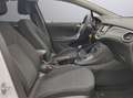 Opel Astra Weiß - thumbnail 15