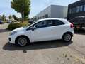 Kia Rio 1.2 CVVT l met een nieuwe APK leverbaar! Wit - thumbnail 2
