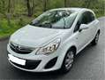Opel Corsa 1.3 CDTI DPF (ecoFLEX) Color Edition Blanc - thumbnail 1
