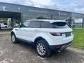 Land Rover Range Rover Evoque 2.0 TD4 4WD Pure Wit - thumbnail 3