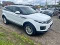 Land Rover Range Rover Evoque 2.0 TD4 4WD Pure Wit - thumbnail 2