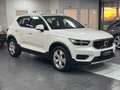 Volvo XC40 Momentum AWD CAM/LEDER/NAVI/SHZ/HuK Weiß - thumbnail 3