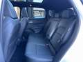 Nissan Qashqai Qashqai MHEV Xtronic Tekna 158 CV Bianco - thumbnail 4