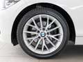 BMW 120 120d Sport 5p auto my18 Bianco - thumbnail 7