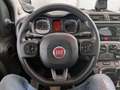 Fiat Panda Panda III 2021 1.0 firefly hybrid City Life s Grau - thumbnail 11