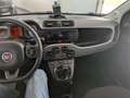 Fiat Panda Panda III 2021 1.0 firefly hybrid City Life s Grau - thumbnail 10