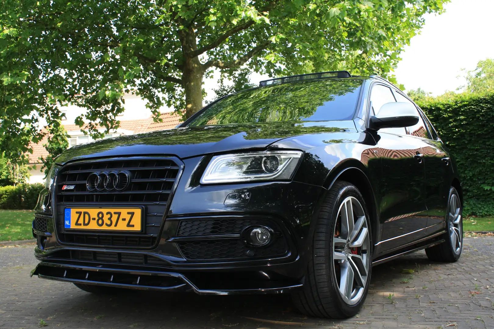 Audi SQ5 3.0 TDI Quattro / MAXTON / PANO / B&O / FULL Zwart - 1