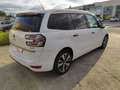 Citroen C4 GRAND PICASSO 1.6I 165 CV SEDUCTION 5P 7PL AUTOM. Blanc - thumbnail 33