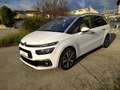 Citroen C4 GRAND PICASSO 1.6I 165 CV SEDUCTION 5P 7PL AUTOM. Blanc - thumbnail 38