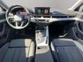 Audi A4 40 TDI S tronic S line NAVI+LED+PANO+AC Grigio - thumbnail 15