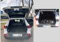 Renault Kadjar Kadjar 1.5dCi Energy Tech Road 81kW Tech Road Blanco - thumbnail 5