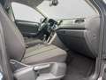 Volkswagen T-Roc 1.0 TSI Style Alu Sitzh. PDC App-Connect uvm. Grau - thumbnail 21