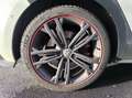 Volkswagen Golf Golf 2.0 TSI 245ch GTI Performance DSG7 5p Weiß - thumbnail 12