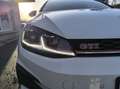 Volkswagen Golf Golf 2.0 TSI 245ch GTI Performance DSG7 5p Weiß - thumbnail 8