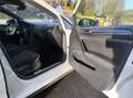 Volkswagen Golf Golf 2.0 TSI 245ch GTI Performance DSG7 5p Weiß - thumbnail 28