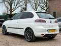 SEAT Ibiza 1.6-16V Sportstyle/ VELGEN/ SCHERM/ CRUISE Weiß - thumbnail 5