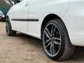 SEAT Ibiza 1.6-16V Sportstyle/ VELGEN/ SCHERM/ CRUISE Weiß - thumbnail 12