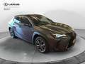 Lexus UX 250h UX250H DESIGN 4WD Grau - thumbnail 3